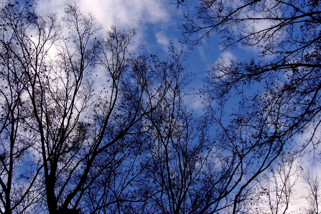 冬空
