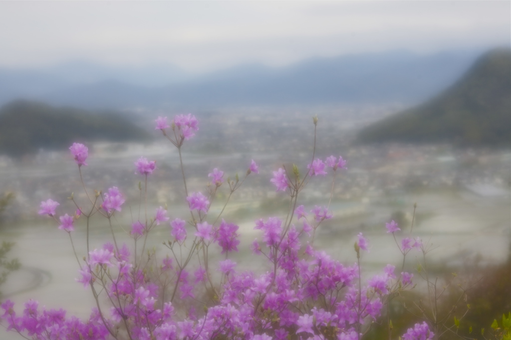 四月の平野