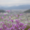 四月の平野