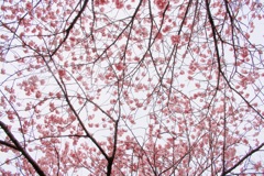 3月の空