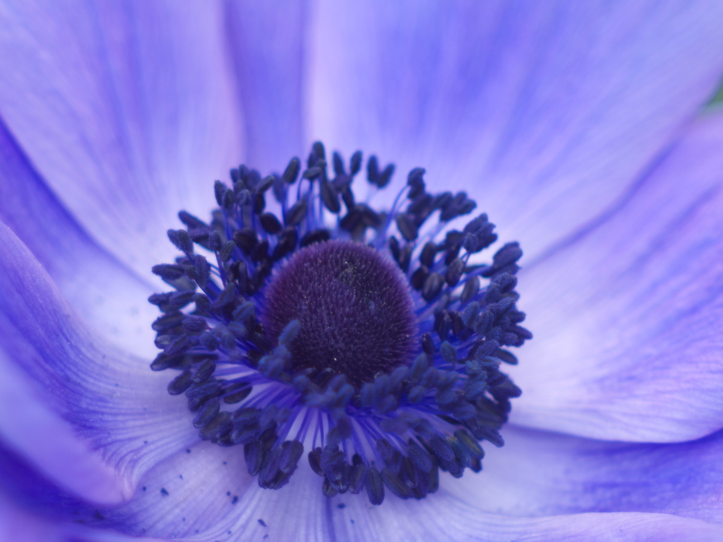 Deep Blue