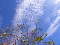 空動く