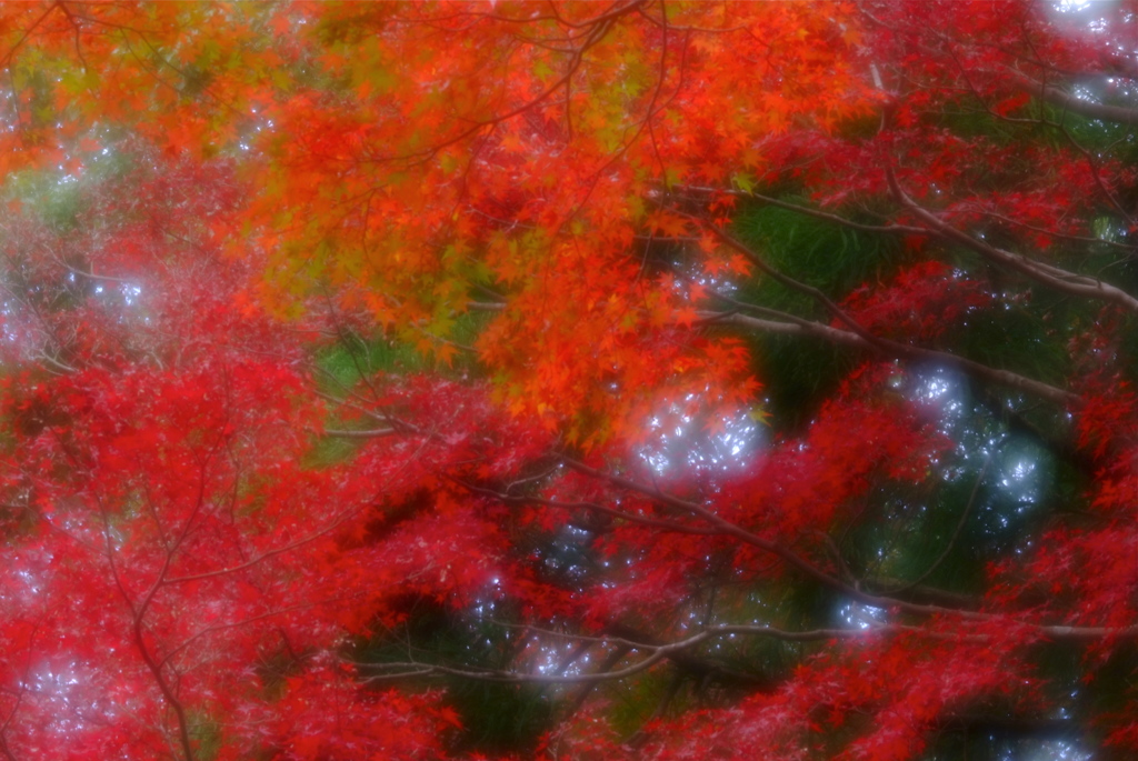 影から彩