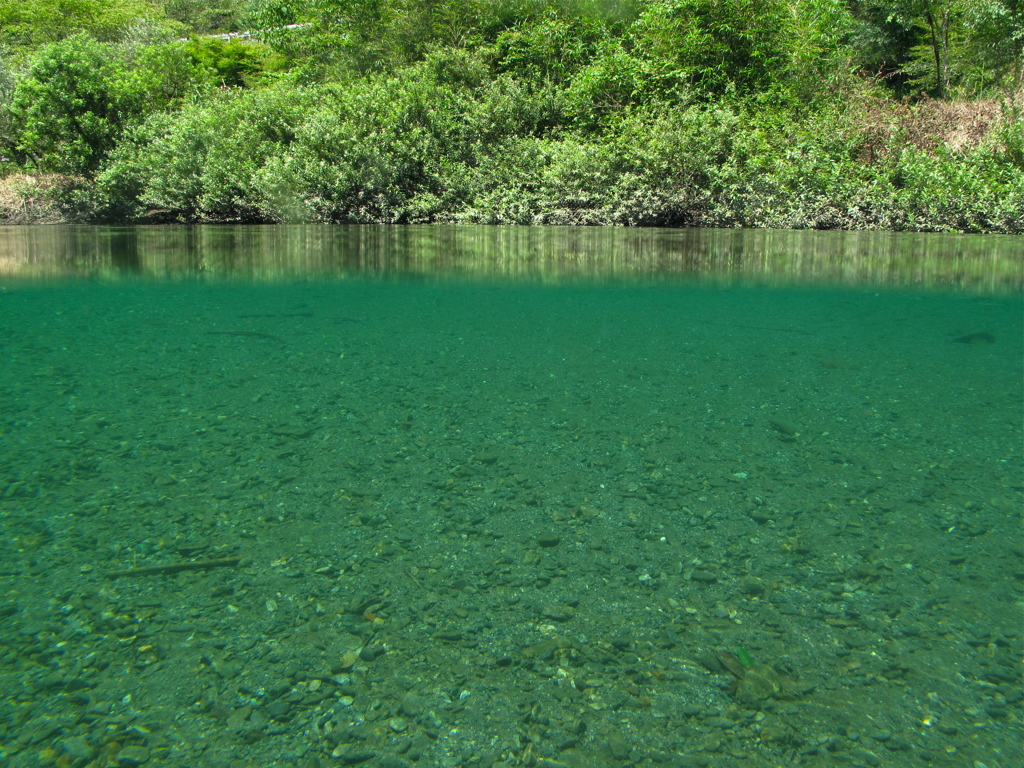 SUMMER GREEN