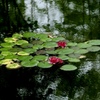 気配