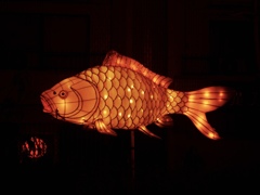 光る魚　１
