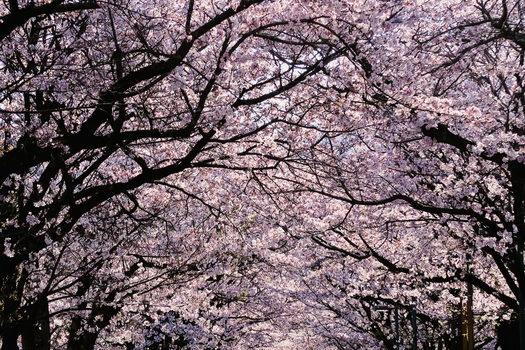 春時空