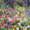 花の庭６