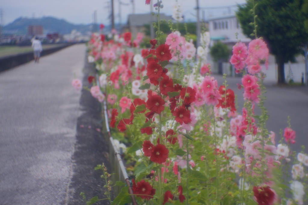 夏の始まり