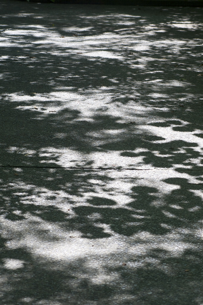 夏の予感