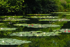 夏