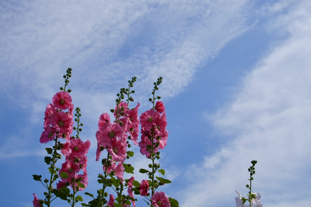 空と風と