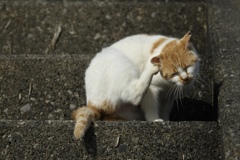 くつろぎ３