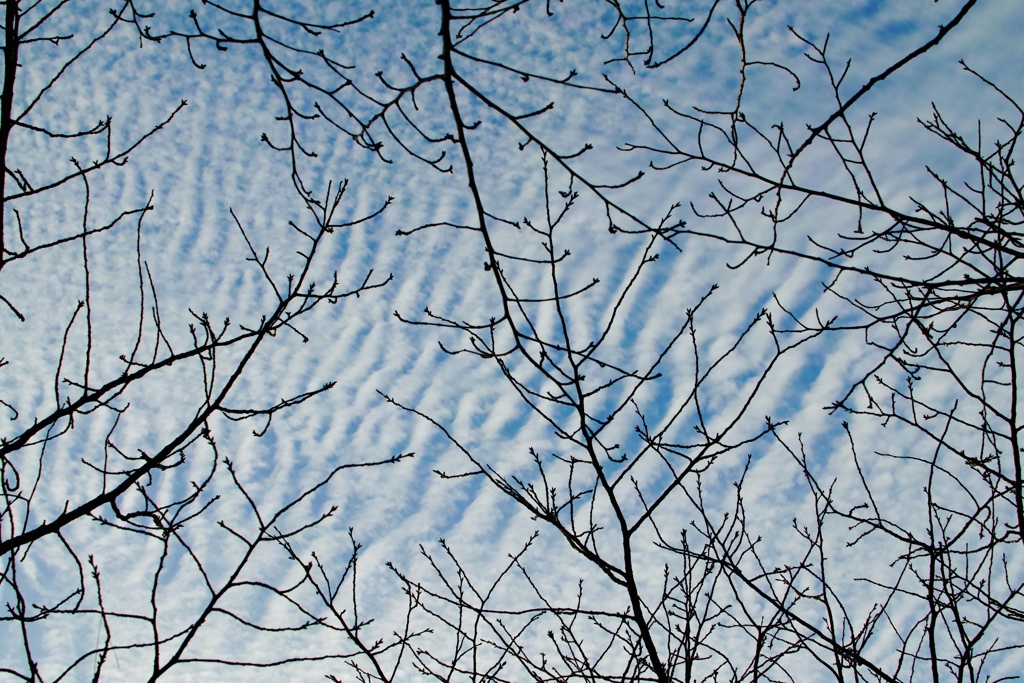 寒波の空