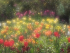 花の庭３