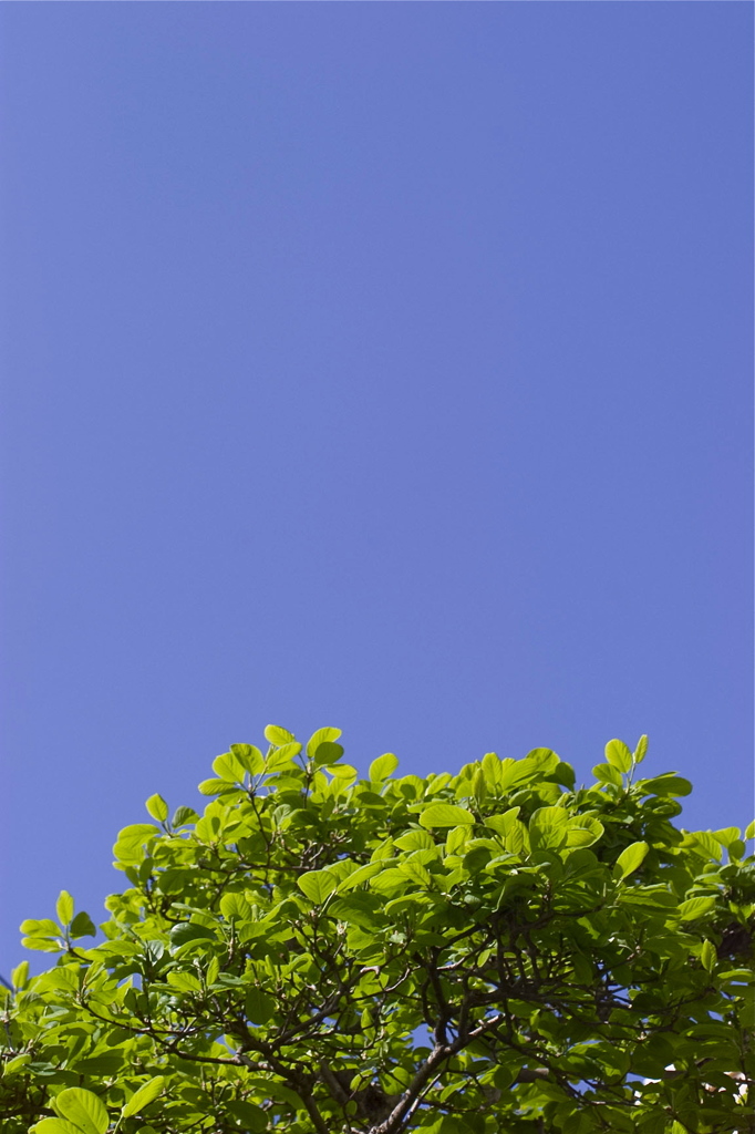 青空
