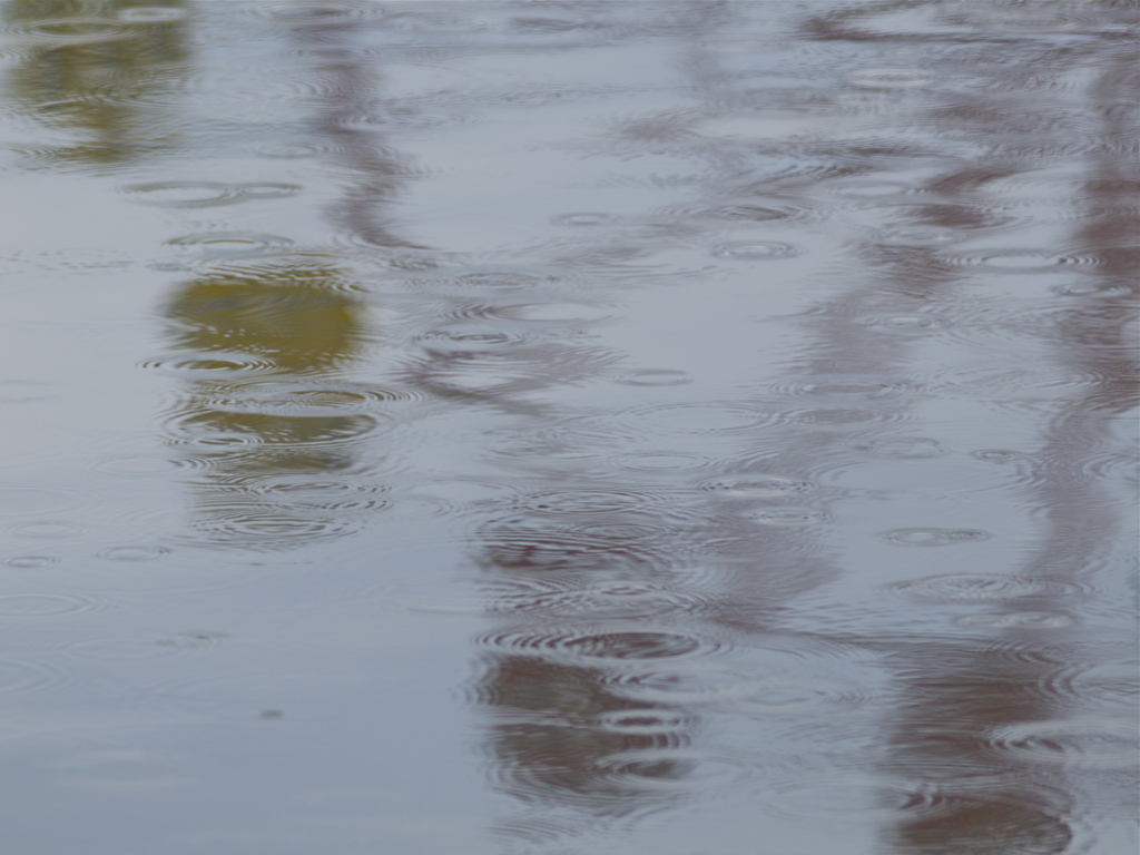 雨の遊園地