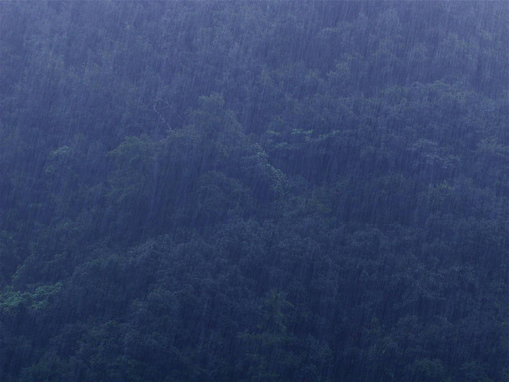 雨ざぁざぁ