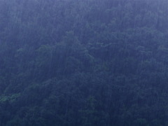 雨ざぁざぁ