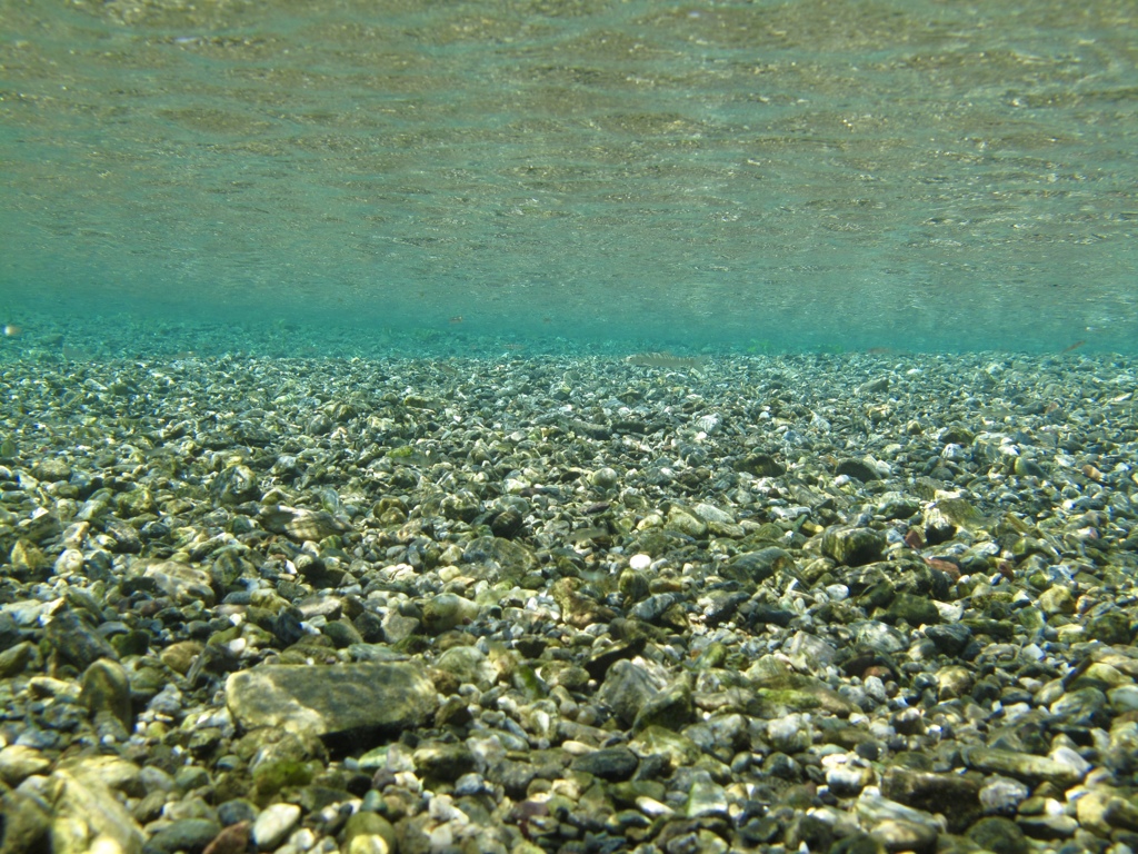 クールに日光浴