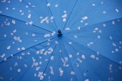 雨の日のアリバイ