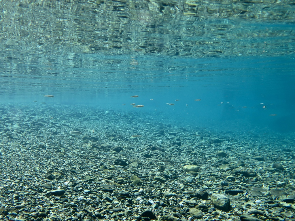 AQUA 5