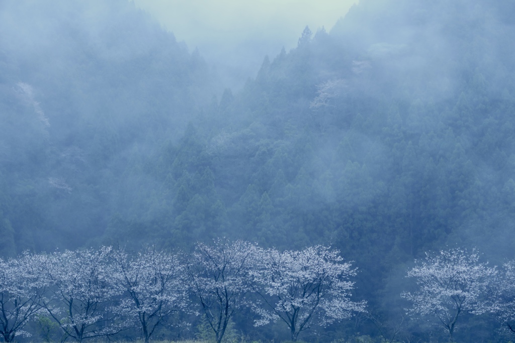 春の時間