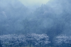 春の時間