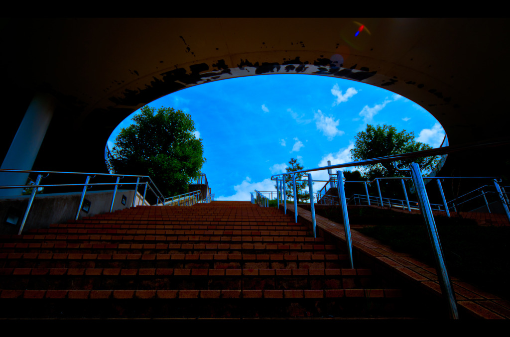 To the sky
