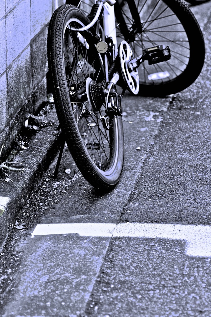 路地裏で
