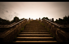 Step by step