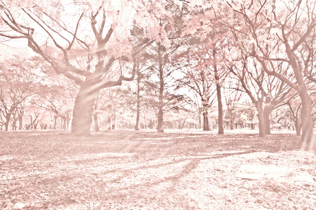 Winter or spring