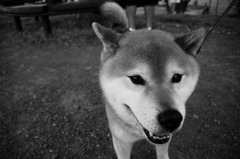 君の名前は？