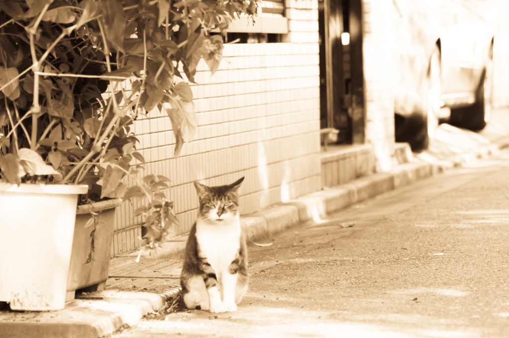 門番