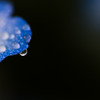 Droplet