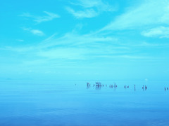 blue