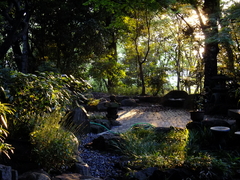 2009_06110078_1