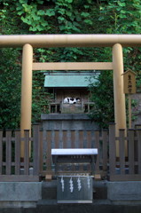 猫神