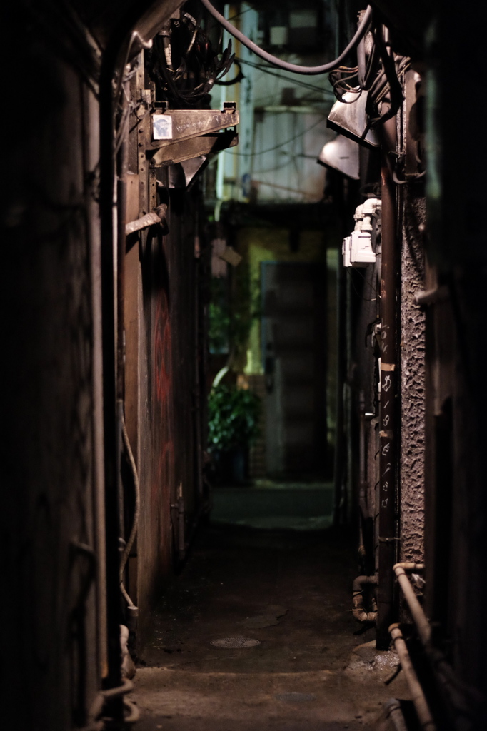 裏路地