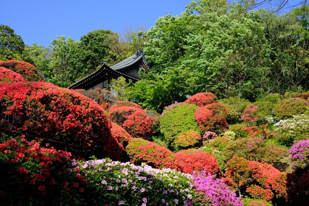 等覚院