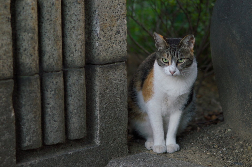 ちょっと警戒