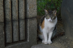 ちょっと警戒