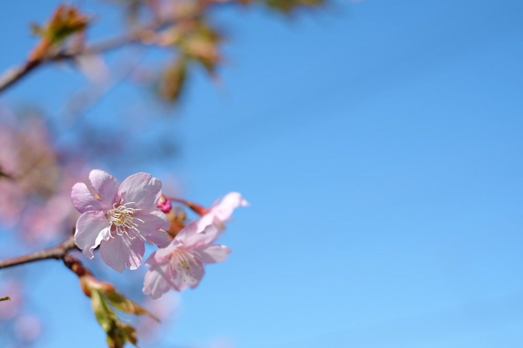 X-E2　JPEG　スタンダード