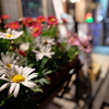 花撮り