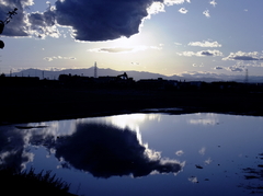 2009_10080045_1