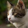 photo1423720