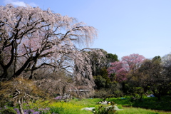 春の記録