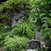 小さな世界