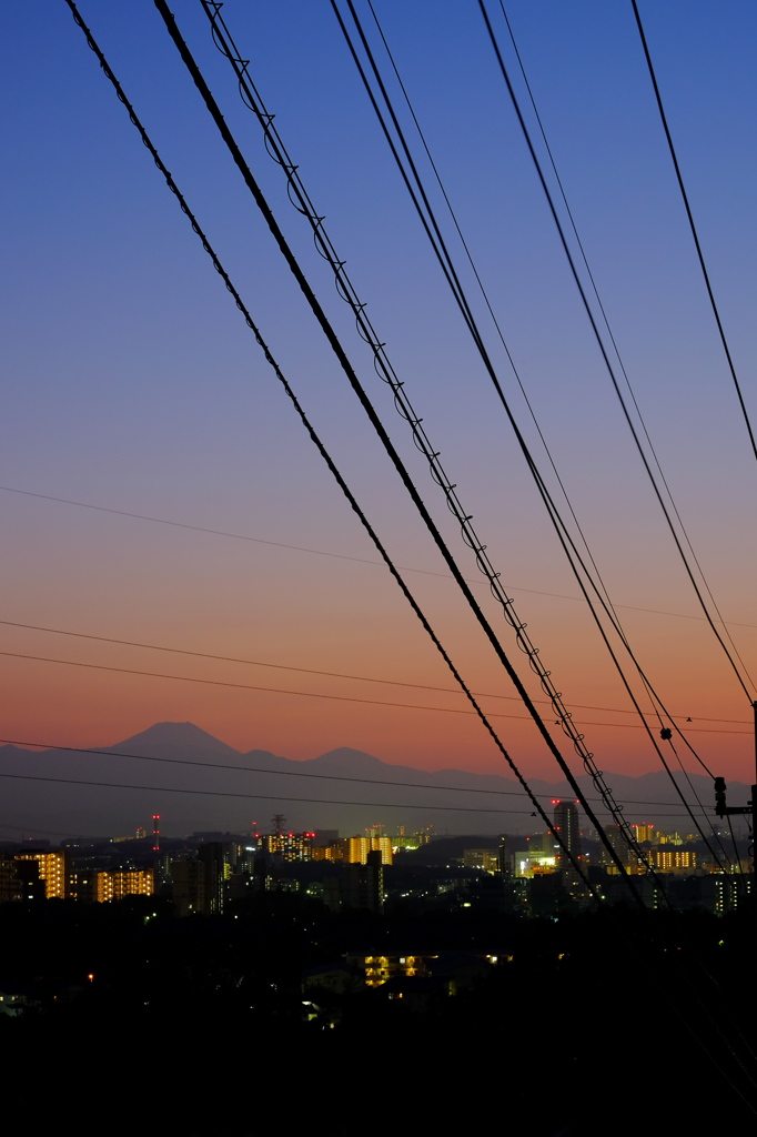 電線の向こう