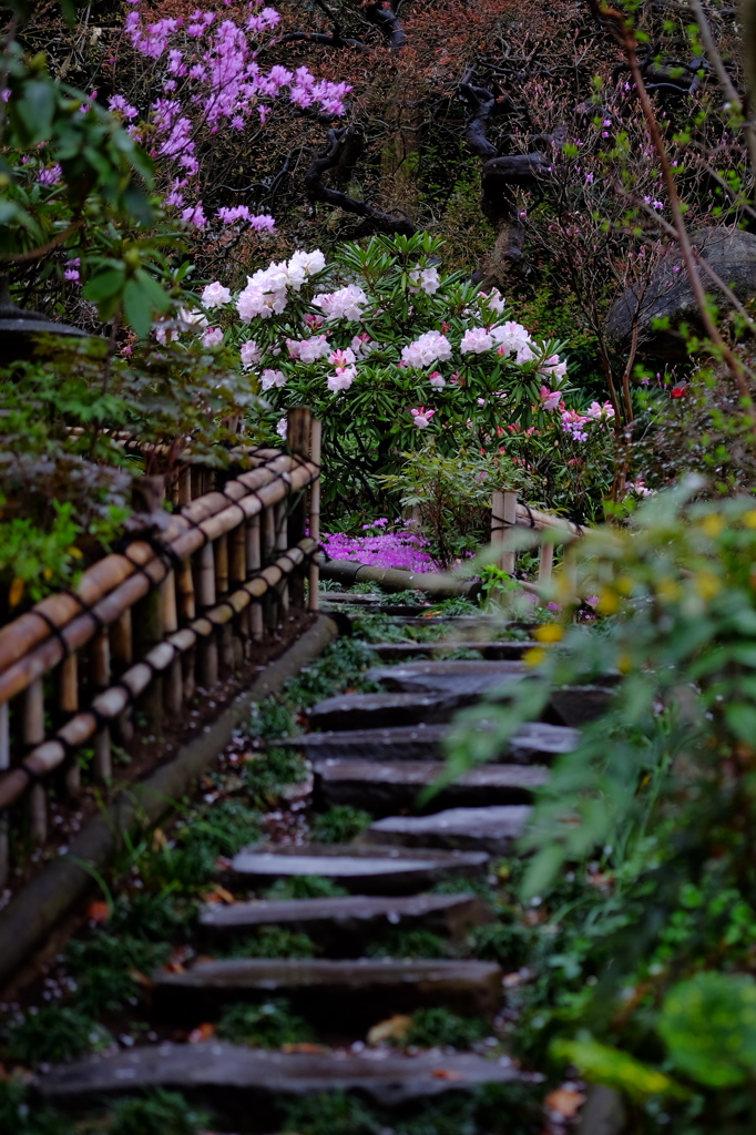 春　雨　和
